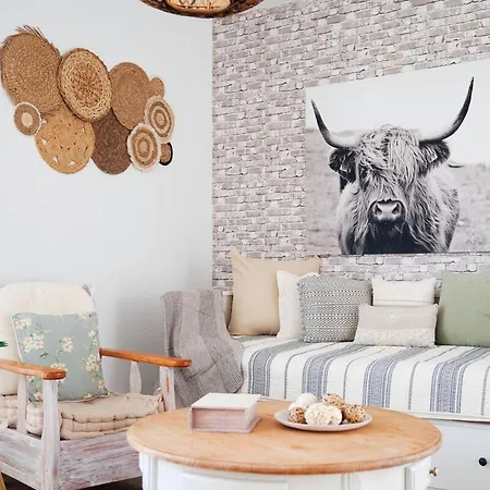 Casa Pura Vida * Callao Salvaje