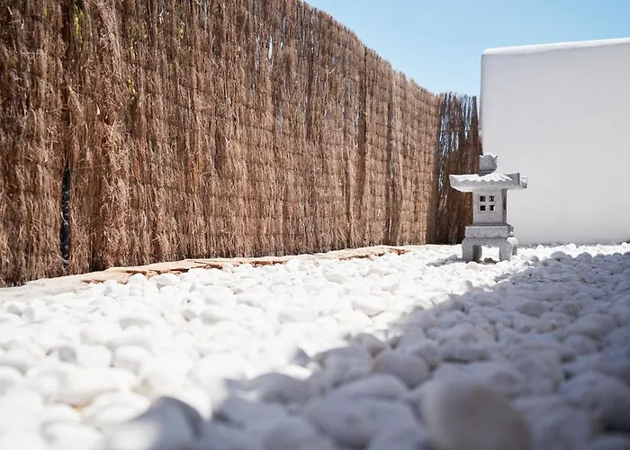 别墅 Casa Pura Vida