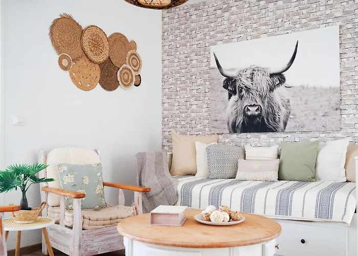 Casa Pura Vida * Callao Salvaje